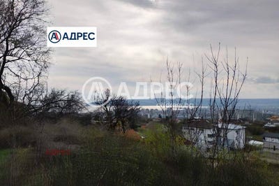 /international/bg/м-т-сотира-m-t-sotira-варна-varna-310104283025/