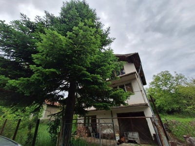 /international/bg/с-кленовик-s-klenovik-перник-pernik-310099947186/