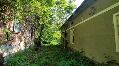 /international/bg/гр-плачковци-gr-plachkovci-габрово-gabrovo-310107179379/