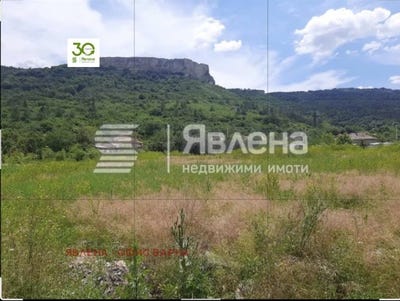 /international/bg/с-разделна-s-razdelna-варна-varna-310108555931/