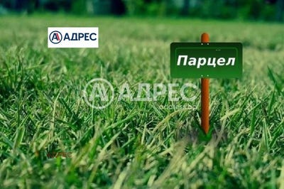 /international/bg/с-баново-s-banovo-варна-varna-310106739946/