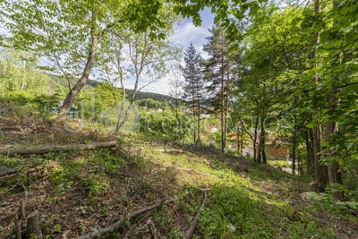 /international/bg/с-рударци-s-rudarci-перник-pernik-310099651953/