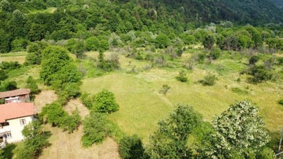 /international/bg/с-рибарица-s-ribarica-ловеч-lovech-120087044171/