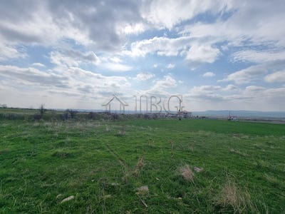 /international/bg/kosharitsa-burgas-310107429633/