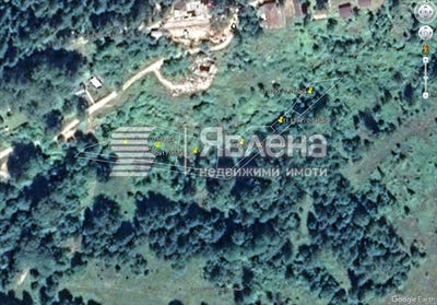 /international/bg/м-т-цигов-чарк-m-t-cigov-chark-пазарджик-pazardzhik-310108368842/