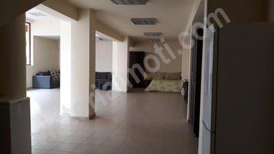 /international/bg/акация-akacia-велико-търново-veliko-tarnovo-province-310095166674/