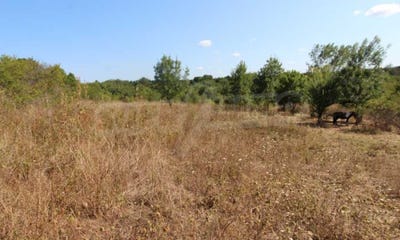/international/bg/с-варвара-s-varvara-бургас-burgas-310106573898/