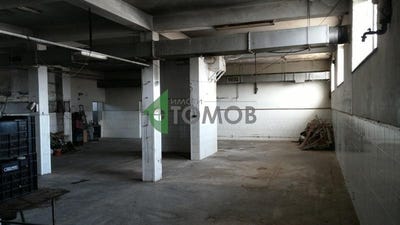 /international/bg/с-златна-нива-s-zlatna-niva-шумен-shumen-province-310095167587/
