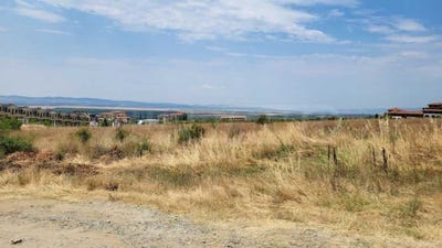 /international/bg/с-кошарица-s-kosharica-бургас-burgas-310107423719/