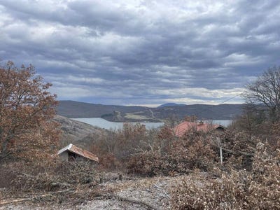 /international/bg/яз-пчелина-iaz-pchelina-перник-pernik-310107325195/