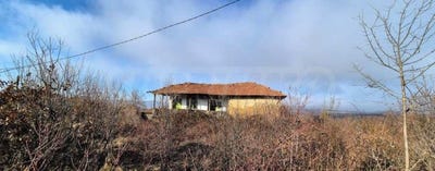 /international/bg/с-радювене-s-radiuvene-ловеч-lovech-310106517008/