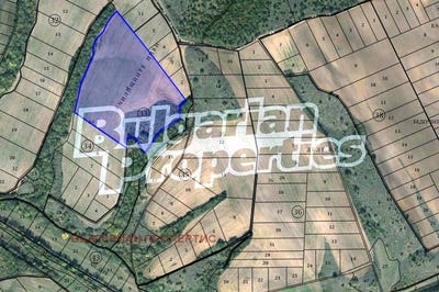 /international/bg/с-белила-s-belila-бургас-burgas-310094510226/