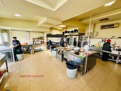 /international/bg/младост-1-mladost-1-монтана-sofia-city-province-310107176796/