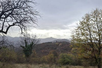/international/bg/с-кръвеник-s-kravenik-габрово-gabrovo-310107184155/