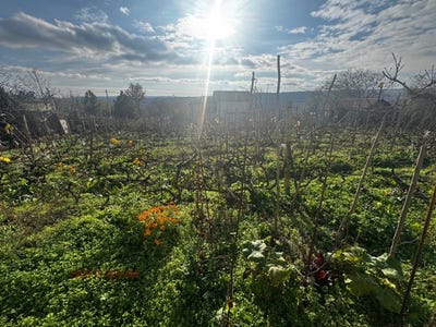 /international/bg/м-т-боровец-юг-ул-12-партиди-m-t-borovec-iug-ul-12-partidi-варна-varna-310108562455/