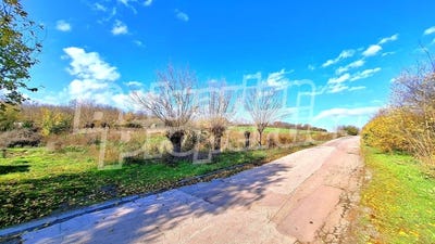 /international/bg/с-златна-ливада-s-zlatna-livada-стара-загора-stara-zagora-310104311476/