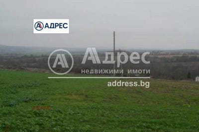 /international/bg/с-болярци-s-boliarci-варна-varna-310108367342/