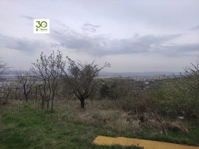 /international/bg/м-т-планова-m-t-planova-варна-varna-310098510135/
