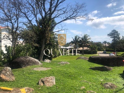 /international/br/3760-luiz-boiteux-piazza-florianopolis-santa-catarina-310102559383/