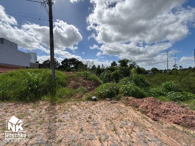 /international/br/879-maria-de-oliveira-sapiranga-rio-grande-do-sul-310104000611/