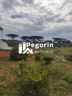 /international/br/50-avenida-zumbi-dos-palmares-almirante-tamandare-parana-310104289944/