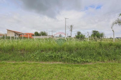 /international/br/lote-12-rua-elza-silveira-de-moraes-aracoiaba-da-serra-sao-paulo-310105764037/