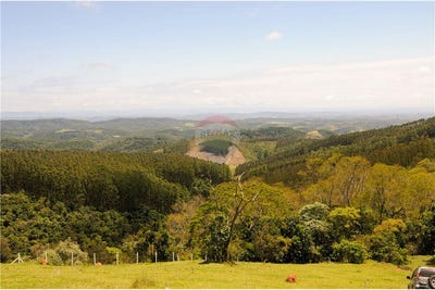 /international/br/estrada-do-adelino-mogi-das-cruzes-sao-paulo-120047155102/