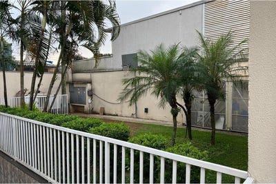 /international/br/477-rishin-matsuda-sao-paulo-sao-paulo-310102875973/