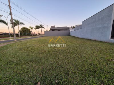 /international/br/115-charles-wesley-piracicaba-sao-paulo-310101134475/