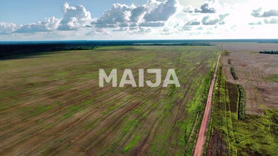 /international/br/hectare-operational-grain-estate-alta-floresta-mato-grosso-310106741999/