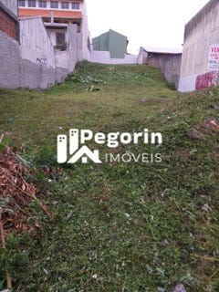 /international/br/1198-rua-jose-de-oliveira-franco-curitiba-parana-310104289995/