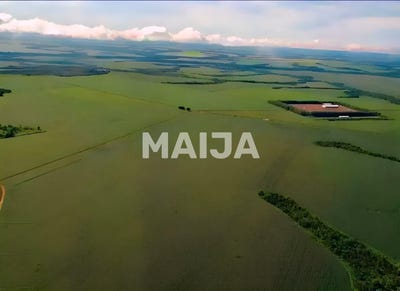 /international/br/hectare-grain-farm-agua-boa-mato-grosso-do-sul-310106738445/
