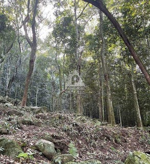 /international/br/estrada-da-canoa-rio-de-janeiro-rio-de-janeiro-310104088083/