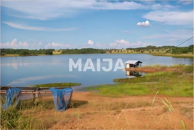 /international/br/hectare-dual-aptitude-farm-estate-barra-do-garcas-mato-grosso-310106742810/