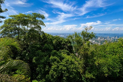 /international/br/rio-de-janeiro-rio-de-janeiro-310108248405/