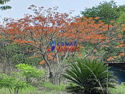 /international/br/unit-condominio-lago-verde-uberlandia-minas-gerais-310100961003/
