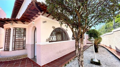 /international/br/265-jose-do-patrocinio-sao-paulo-sao-paulo-310099193516/