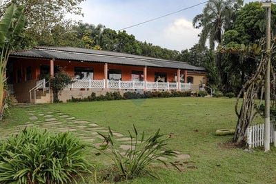 /international/br/1-rua-dos-pinheiros-suzano-sao-paulo-310101060312/