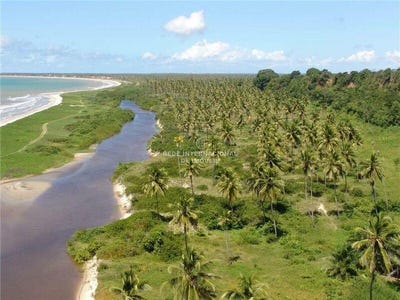 /international/br/camacari-alagoas-310101185611/?lang=zh-cn