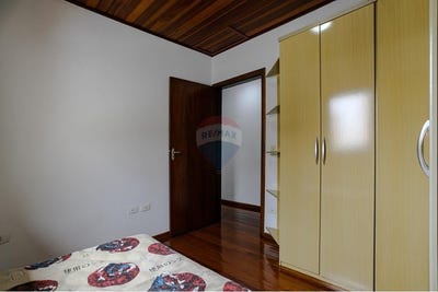 /international/br/rua-gato-cinzento-suzano-sao-paulo-310099898620/?lang=zh-cn