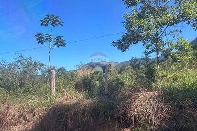 /international/br/2-bicuda-pequena-macae-rio-de-janeiro-310100659922/?lang=zh-tw