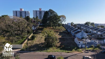 /international/br/125-pedro-petry-novo-hamburgo-rio-grande-do-sul-310102414377/