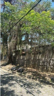/international/br/rua-fruto-do-mato-rio-de-janeiro-rio-de-janeiro-310103181727/