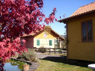 /international/br/3252-adolfo-konder-urubici-santa-catarina-310102068682/