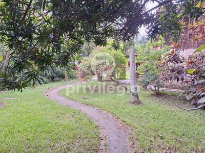 /international/br/estrada-pacui-rio-de-janeiro-rio-de-janeiro-310097914790/