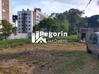 /international/br/1406-estrada-da-graciosa-pinhais-parana-310104289850/