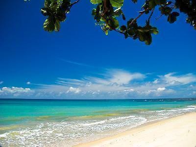 /international/br/state-of-bahia-state-of-bahia-bahia-310108969465/