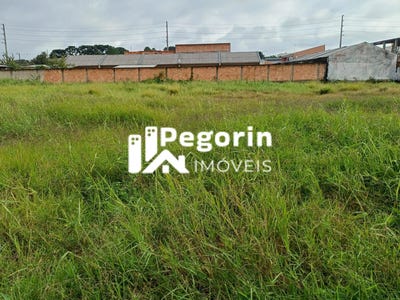 /international/br/238-rua-euclides-da-cunha-ribas-pinhais-parana-310104289847/