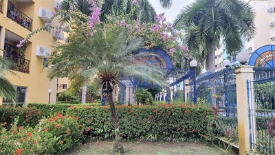 /international/br/61-rua-ourem-recife-pernambuco-310102537914/