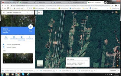 /international/br/cansi-sapiranga-rio-grande-do-sul-310100936728/